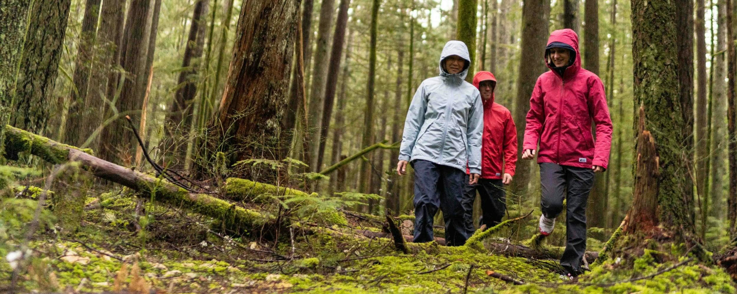 Good rain jackets for hiking online